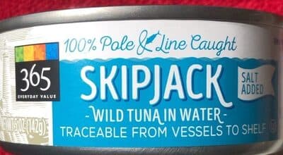 Skipjack Wild Tuna In Water