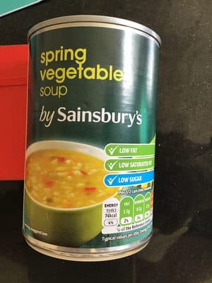 Spring Vegetable Soup