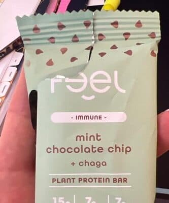 Mint Chocolate Chip