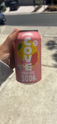 Grapefruit Probiotic Soda