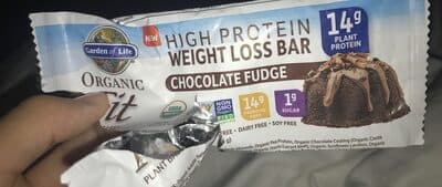 Garden Of Life High Protein Chocolate Fudge Flavor Weight Loss Bar