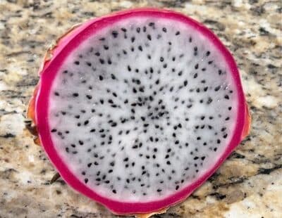 White dragon fruit