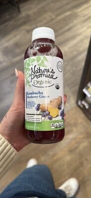Kombucha, Blueberry Ginger