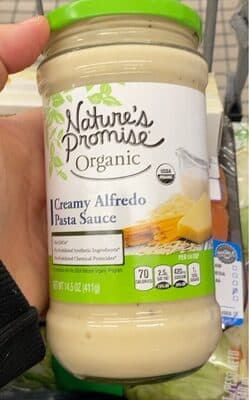 Creamy Alfredo Pasta Sauce
