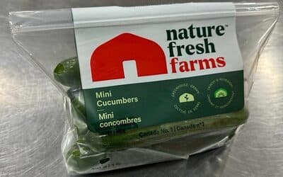 Mini cucumbers