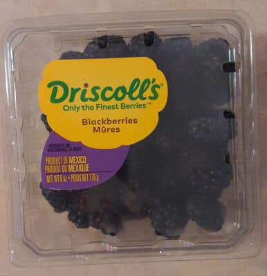 Blackberries