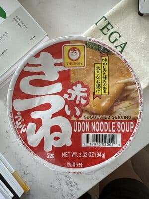Udon Noodle Soup