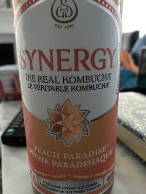kombucha cru - Pche Paradisiaque