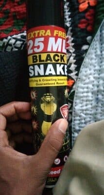 Black Snake