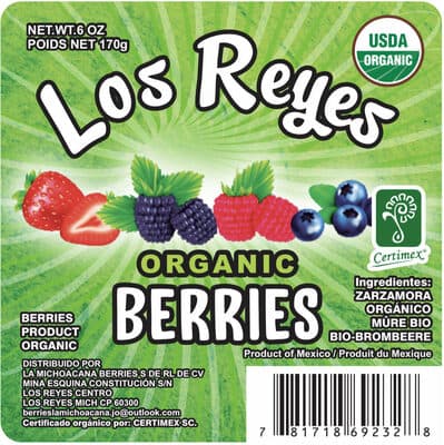Blackberries Organica