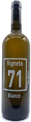 White Vineyard