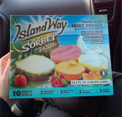 Fruit sorbet