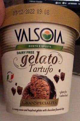 Tartufo Creamy Cocoa and Hazelnut Gelato with Chocolate Flavored Chips Non Dairy Frozen Dessert