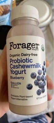 Blueberry Organic Dairy-Free Probiotic Cashewmilk Yogurt
