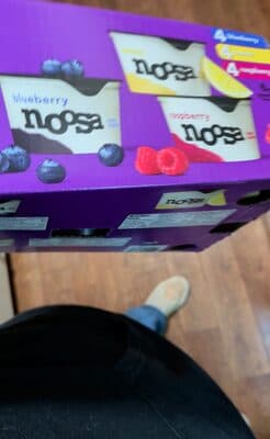 Blueberry Yogurt