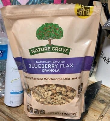 Blueberry Flavored Wholesome Oats and Flax Granola