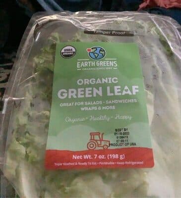 Organic Green Leaf