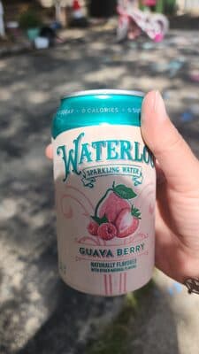 Waterloo Sparkling Water Guava Berry