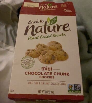 Mini Chocolate Chunk Cookies