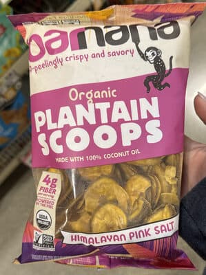 Organic Plantain Scoops