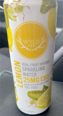 Lemon Real-Fruit Infused Sparkling Water