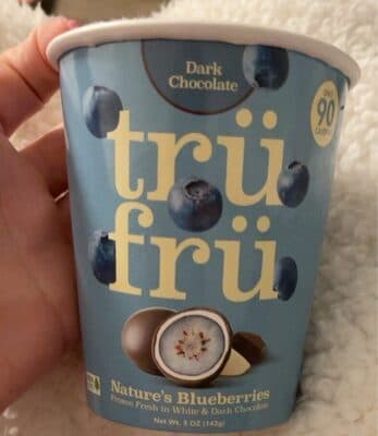 Dark Chocolate Nature's Blueberries Frozen Fresh in White & Dark Chocolate