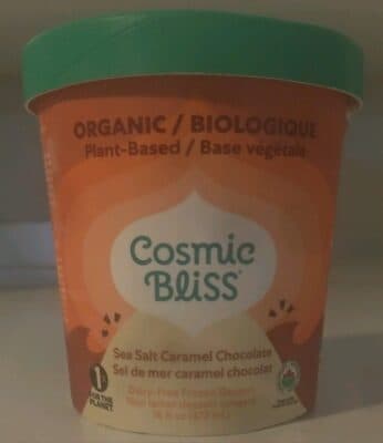 Sea Salt Caramel Chocolate Dairy-Free Frozen Dessert