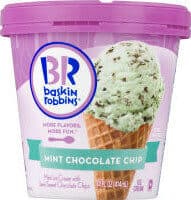 Mint Chocolate Chip Ice Cream