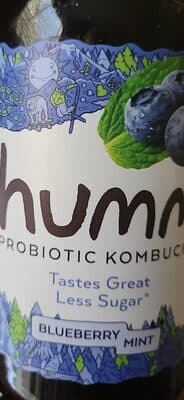 Kombucha, Blueberry Mint