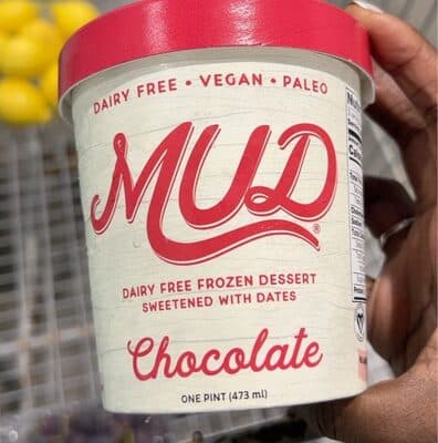 Vegan chocolate ice cream