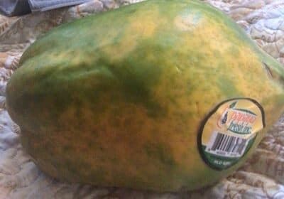 Papaya