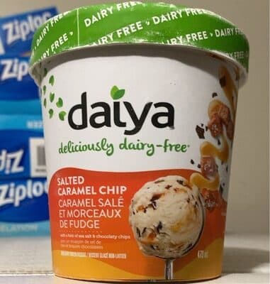 Salted Caramel Chip Non-Dairy Frozen Dessert
