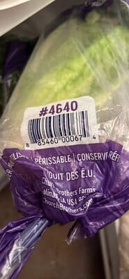 Romaine Lettuce