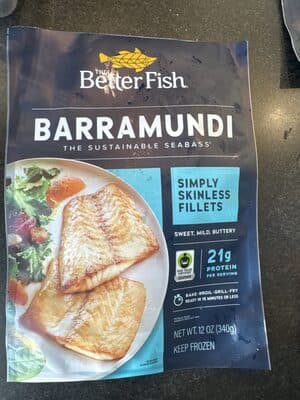 Barramundi