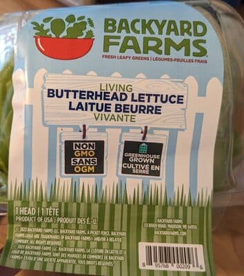 Living Butterhead Lettuce
