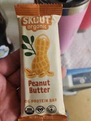 Skout Peanut Butter Organic Plant Based Protein