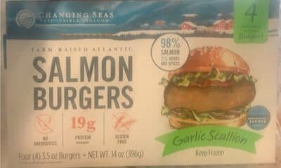 Salmon burger