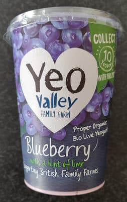 Blueberry Yogurt