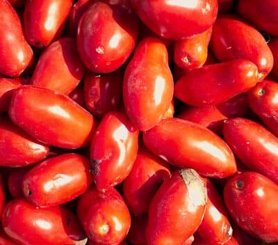 Red Tomatoes - Various Varieties