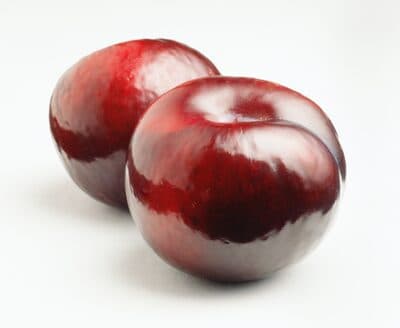 Plums Fresh