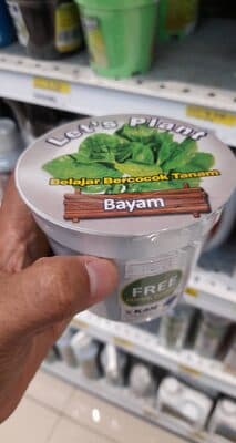 Lets Plant Bayam