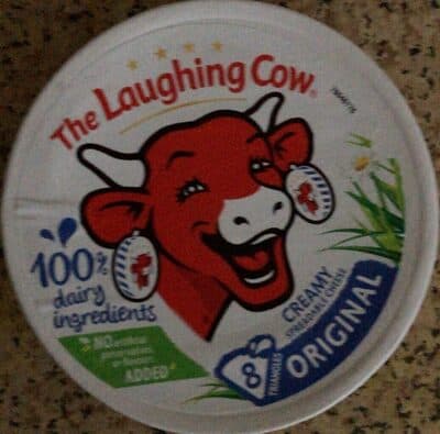 Creamy Spreadable Cheese