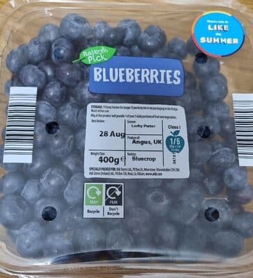 Blueberries