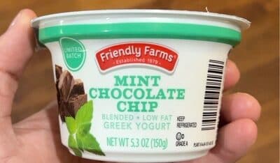 Mint Chocolate Chip Yogurt