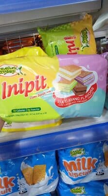 Inipit