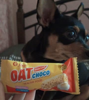 Oat Choco Original Flavor