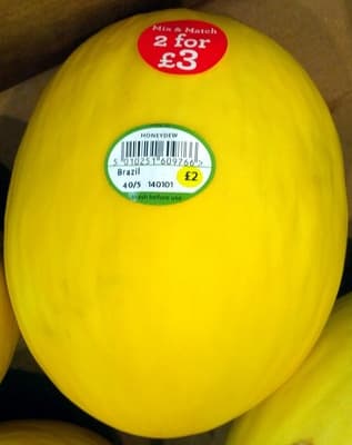 Honeydew