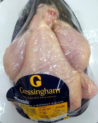 Poussin