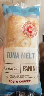 Tuna melt panini