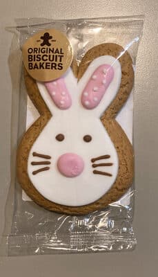Iced Gingerbread Rabbit